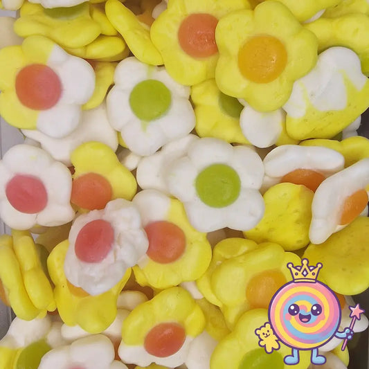 Fleurs Daisies Halal & Végan